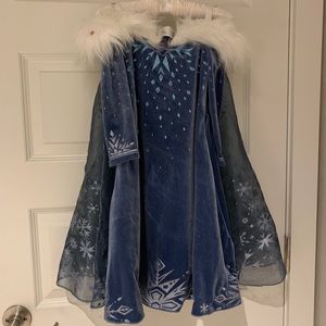 Disney Elsa costume